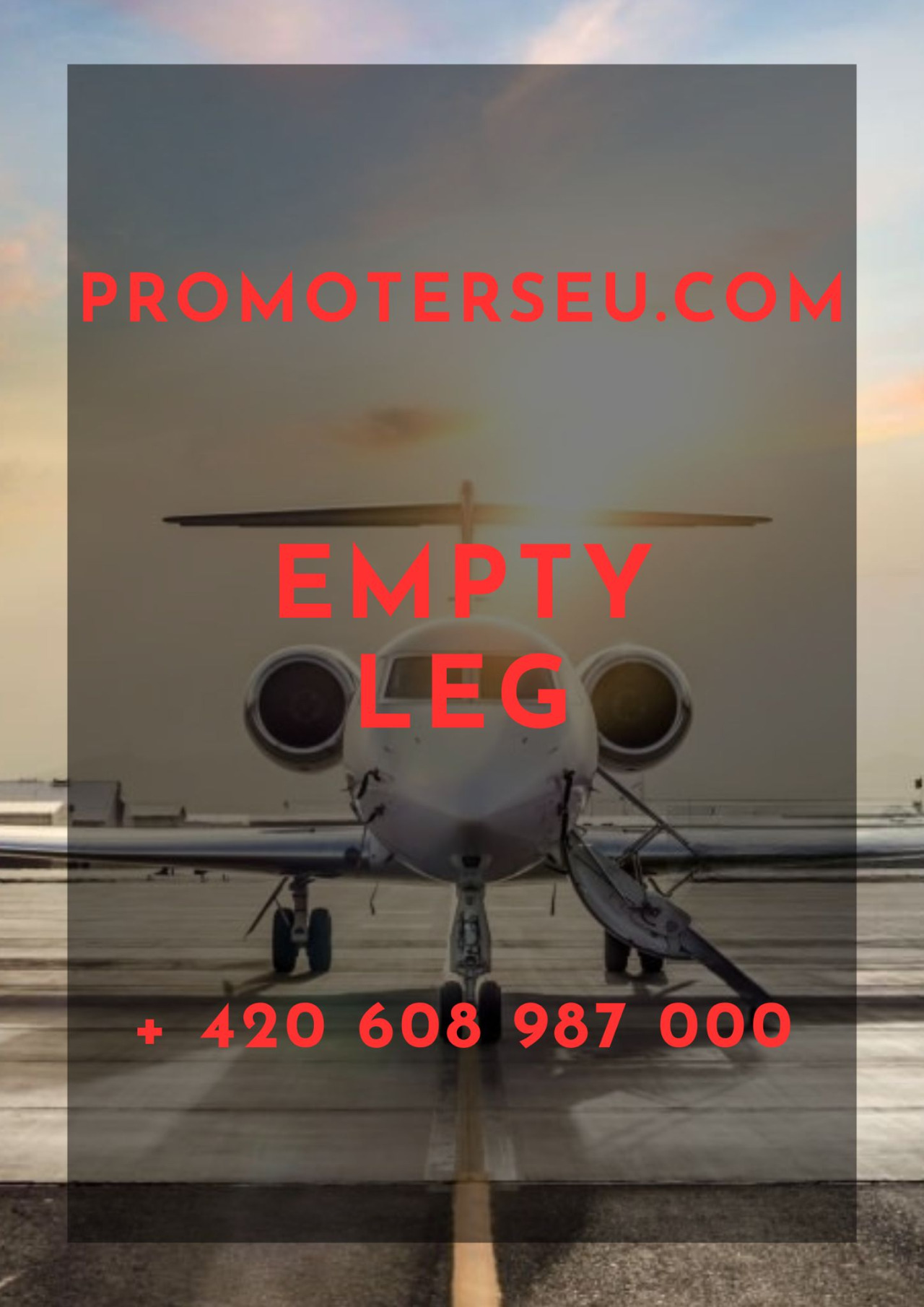 EMPTY LEG ✈ signposting of available flights on private jets worldwide